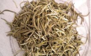 墨江雲針 墨江雲針