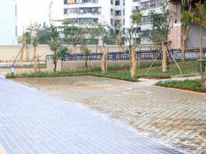 寧波(棄用)東方百合 寧波(棄用)東方百合