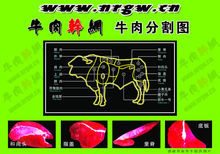 牛肉分割圖