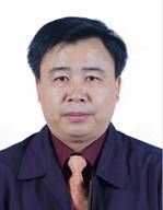 陳偉[武漢理工大學教授]