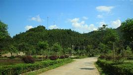 安基山林場 安基山林場