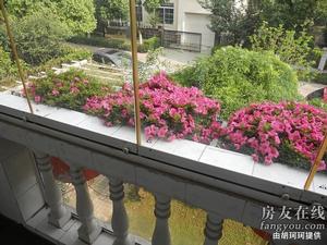 日高花園別墅 日高花園別墅