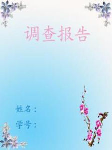 社會調查報告 社會調查報告