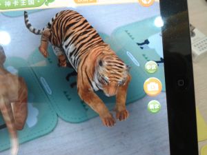 神卡王國 神卡王國