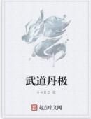 武道丹極 武道丹極