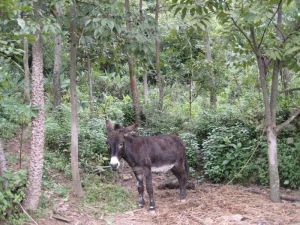 上路水么村 上路水么村