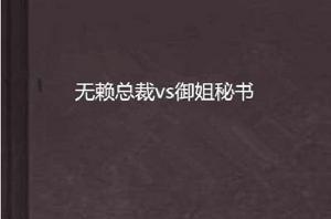 無賴總裁vs御姐秘書 無賴總裁vs御姐秘書