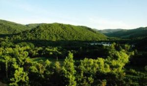 青山森林公園[黑龍江]