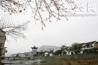 華堂村村中一景