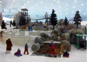 杜拜溜冰場是一個人造溜冰場，夏天室外溫度高達50°C以上而遊客和阿聯人仍能享受滑凍的樂趣。
