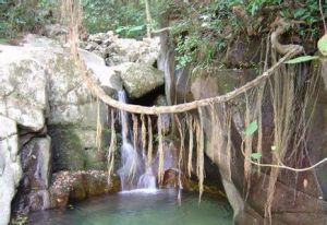 汀溪自然保護區 汀溪自然保護區