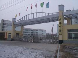 李林中學 李林中學