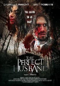 完美丈夫[2014年義大利電影]