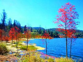 三家村[雲南省蘭坪白族普米族自治縣兔峨鄉下轄村]