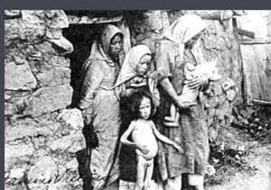 餘糧收集制 餘糧收集制