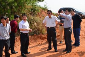 向家塘村 向家塘村