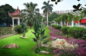 南寧地區教育學院