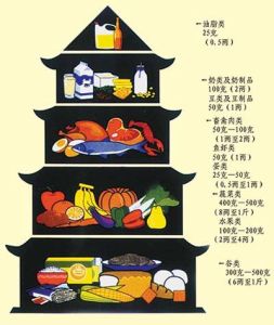 城市居民膳食結構 城市居民膳食結構