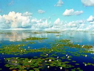 安邦河國家濕地公園 安邦河國家濕地公園