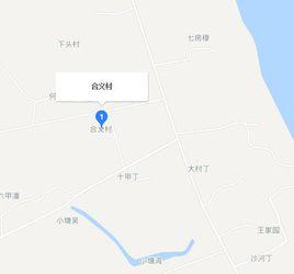 合義村[安徽省蕪湖市南陵縣弋江鎮合義村]