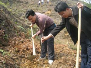 村委會帶領全村植樹