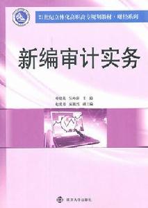 審計實務[高等教育設定的專業]