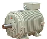 YGB系列輥道用電機