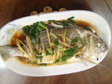 清蒸黃立魚