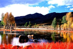 覃建華攝影作品