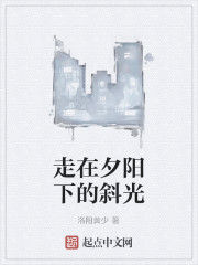 走在夕陽下的斜光 走在夕陽下的斜光