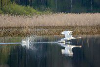 波蘭波列斯國家公園 波蘭波列斯國家公園