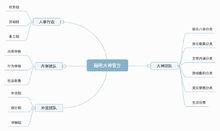 貼吧大神團隊組織結構