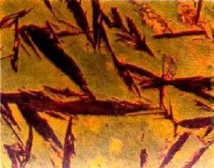 光學金相顯微術