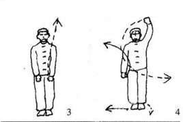 十字八方拳 十字八方拳