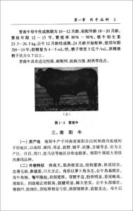 《肉牛養殖手冊》 《肉牛養殖手冊》
