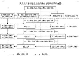 國家突發公共衛生事件應急預案 國家突發公共衛生事件應急預案