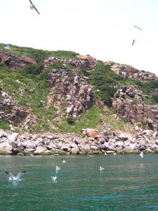 蛇島－老鐵山國家級自然保護區