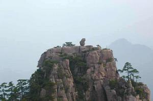 猴子觀海 猴子觀海