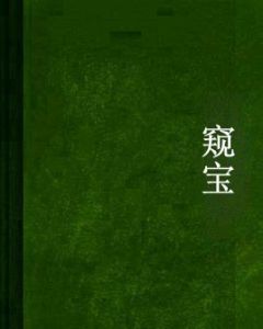 窺寶 窺寶
