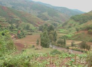 下坪子村 下坪子村