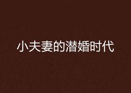 小夫妻的潛婚時代