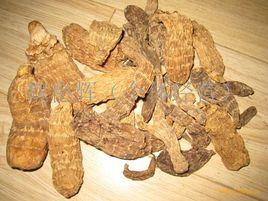 東北野生天麻 東北野生天麻