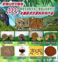 武夷山靈芝 武夷山靈芝