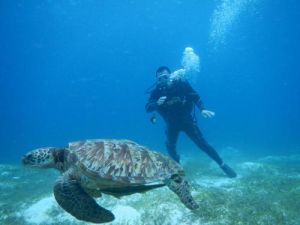 鬼斧神工巴里島 鬼斧神工巴里島