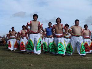 河南蒙古族自治縣