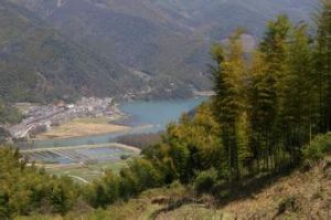 中村北村 中村北村