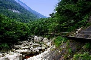 （圖）白果樹瀑布風景區