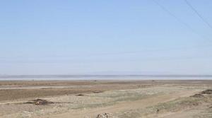 黃旗海自然保護區