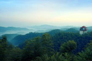 桃花江竹海風景區