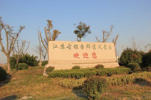 中國銀杏之鄉[山東臨沂市郯城縣]